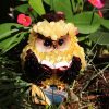 figurine owl baltic amber